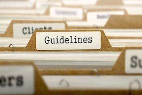 Filing system with tab labelled 'Guidelines'